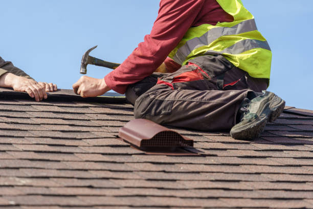 Best Metal Roofing Contractor  in Mammoth Spring, AR