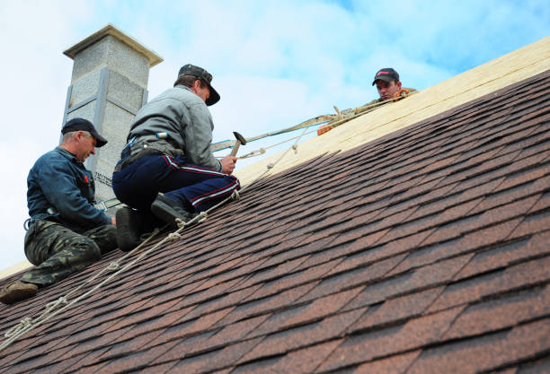 Professional Roofing Contractor in Mammoth Spring, AR